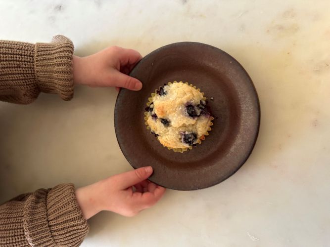 Sourdough Blueberry Muffins