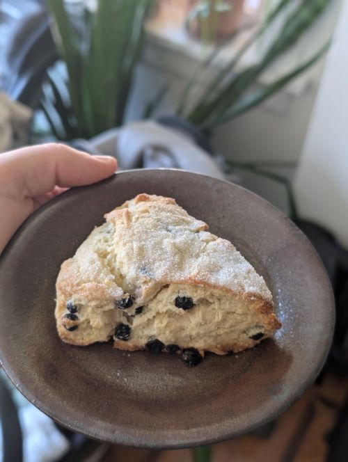 Fast Scones