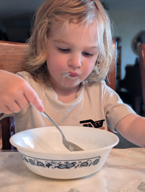 Homemade Icecream